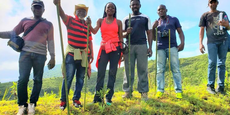 Discovering the cast of the movie “Chariot Of The Gods” directed by Anurin Nwunembon